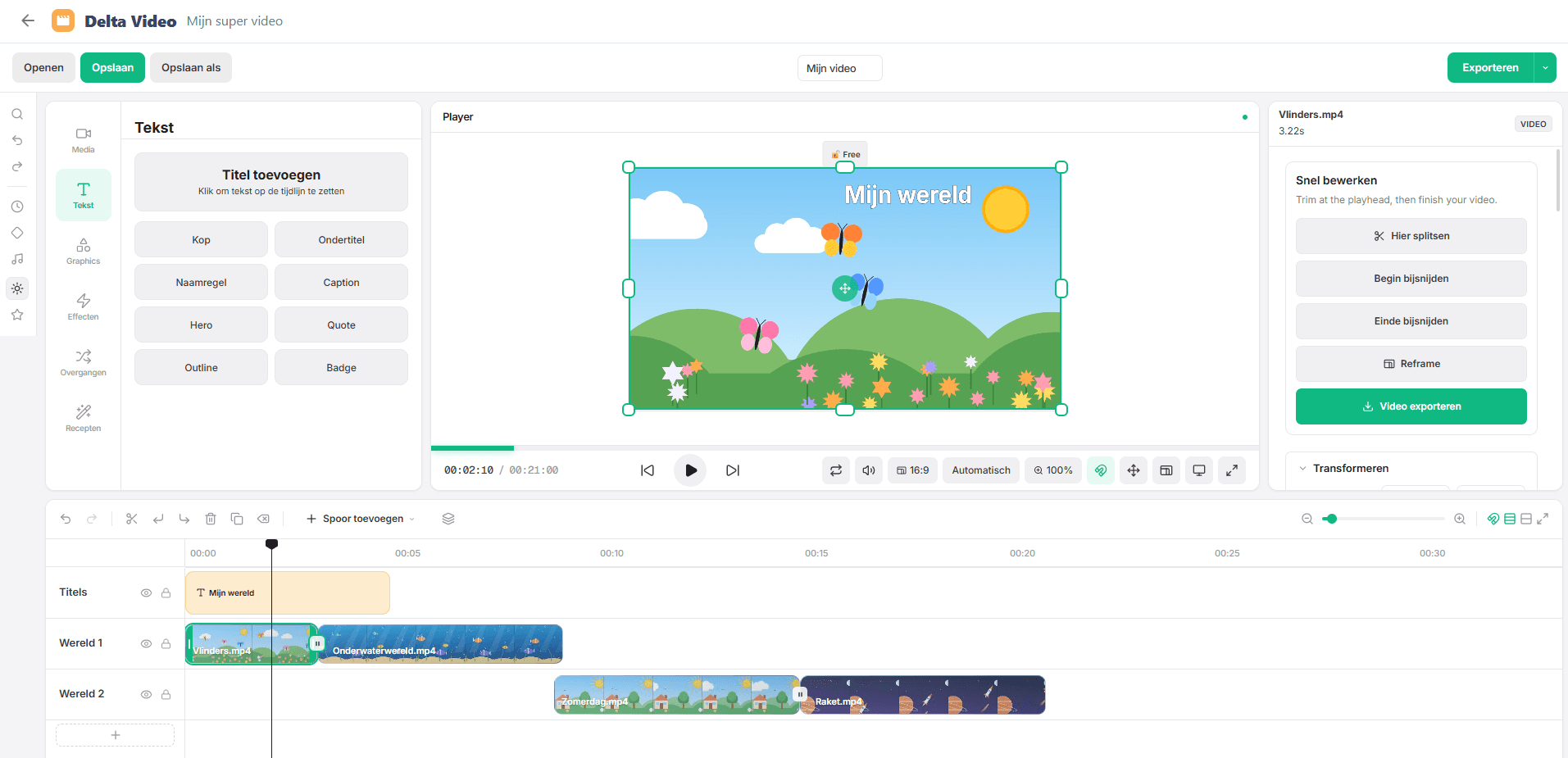 Delta Video: de timeline met clips en het voorbeeldscherm